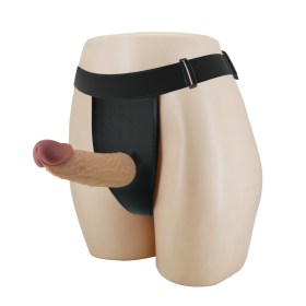 Harness briefs Hausto  BW 22073N-3